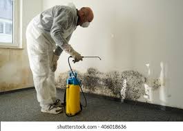 Why You Should Choose Our Mold Remediation Services in Spring Lake, MI